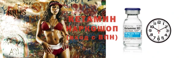 шишки Заволжск