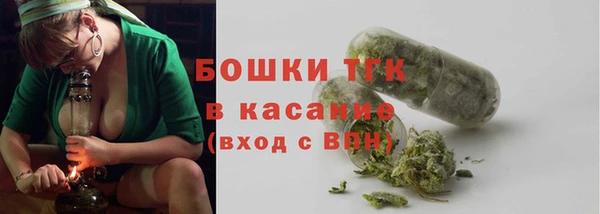 шишки Заволжск