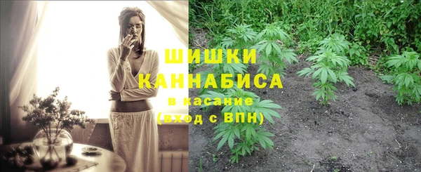 шишки Заволжск
