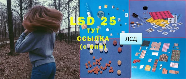 шишки Заволжск