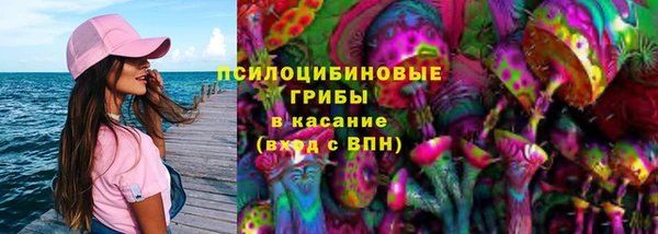 синтетический гашиш Заводоуковск