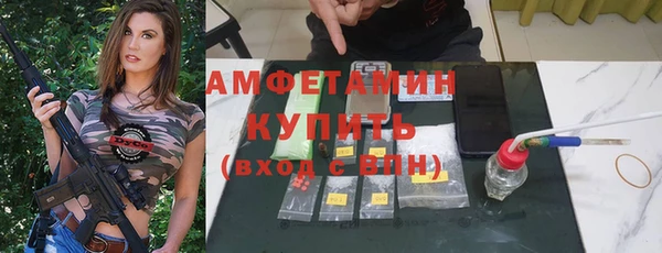 шишки Заволжск