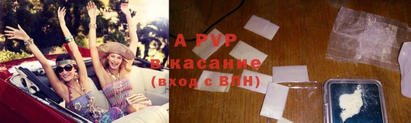 шишки Заволжск